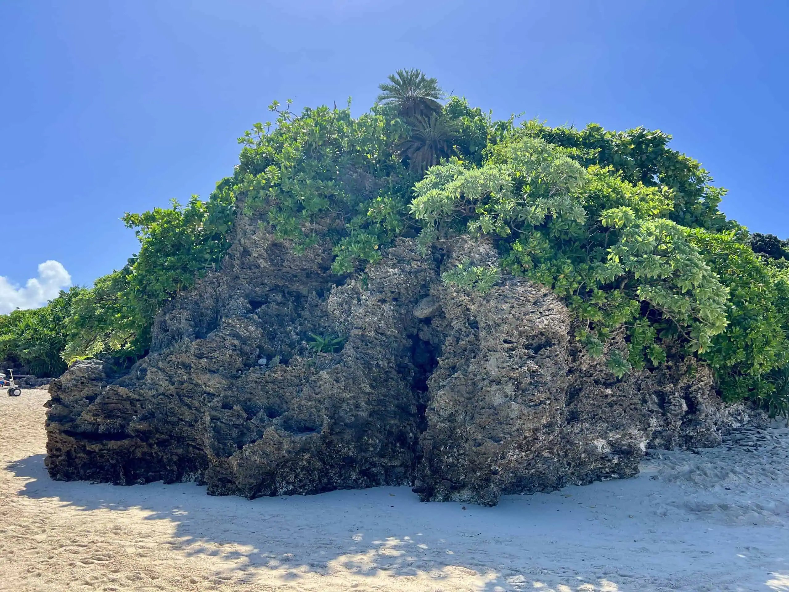 🌊 오하마 해안 (오하마 카이간) 이미지 3